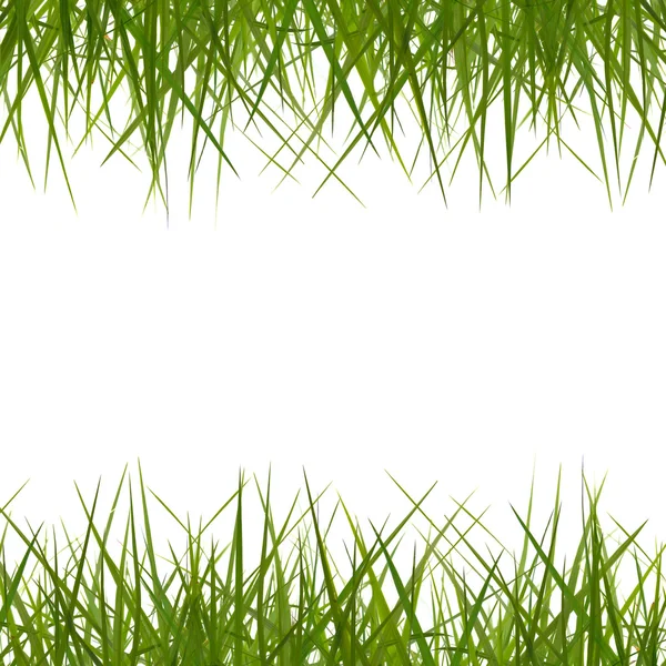 Fundal iarbă — Fotografie, imagine de stoc