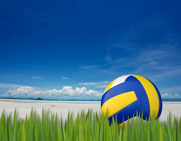 Beach volleyball — Stock Photo, Image