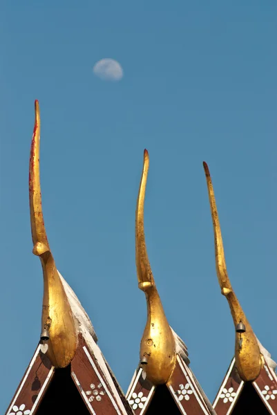 Tay Kuzey Tapınağı — Stok fotoğraf