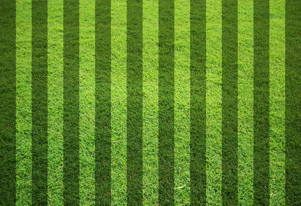 Чистое травяное поле — стоковое фото