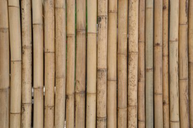 Bambu duvar