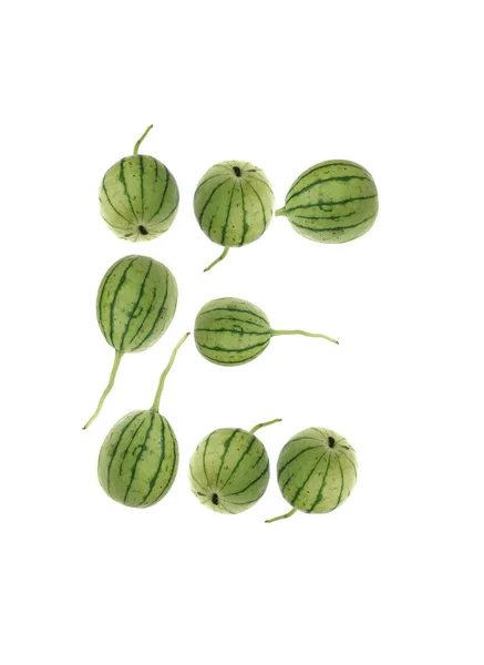 Teckensnitt från vegetabiliska — Stockfoto