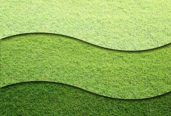 Травяные поля — стоковое фото