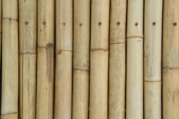 Bambu duvar — Stok fotoğraf