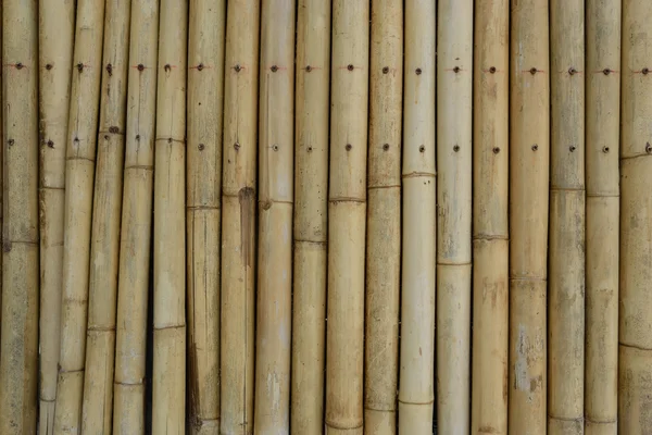 Bambu duvar — Stok fotoğraf