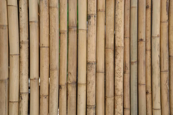 Bambuswand — Stockfoto