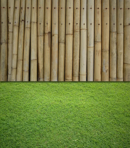 Trávy a bambusové pozadí — Stock fotografie