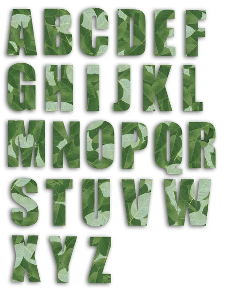 Lettertypen — Stockfoto