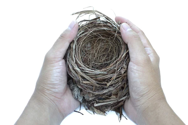 Nest halten — Stockfoto