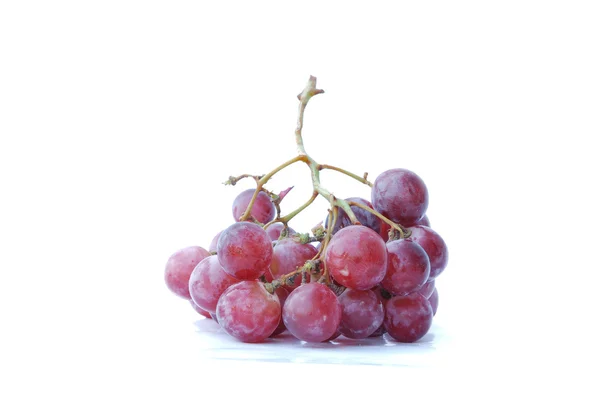 Červené hroznové víno — Stock fotografie