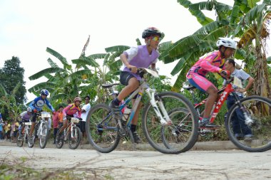 Samui mtb 2011 yarış