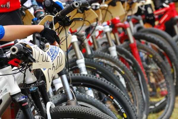 stock image Smaui MTB 2011 race