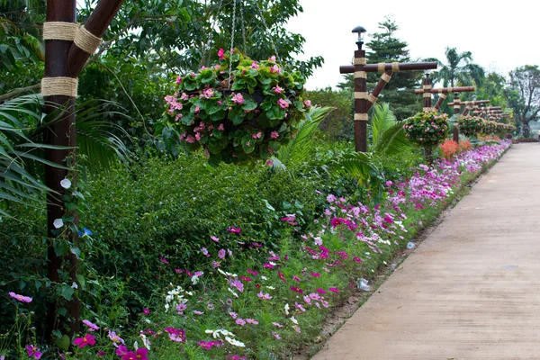 Цветочный сад — стоковое фото