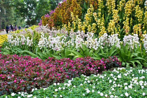 Jardín de flores — Foto de Stock