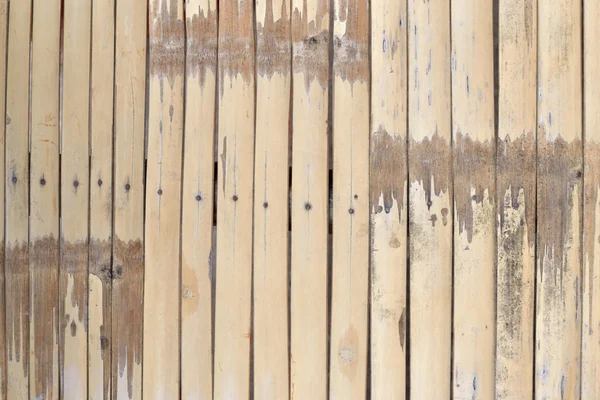 Bambus stěna — Stock fotografie