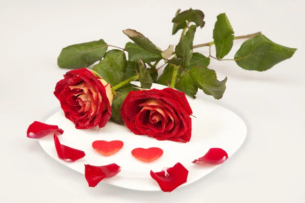 Dos rosas rojas y dos corazones en un plato blanco — Foto de Stock