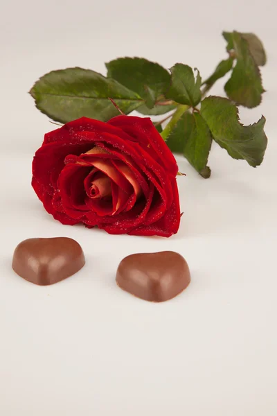 Czerwona róża i dwa serduszka czekoladowe na białym tle — Zdjęcie stockowe
