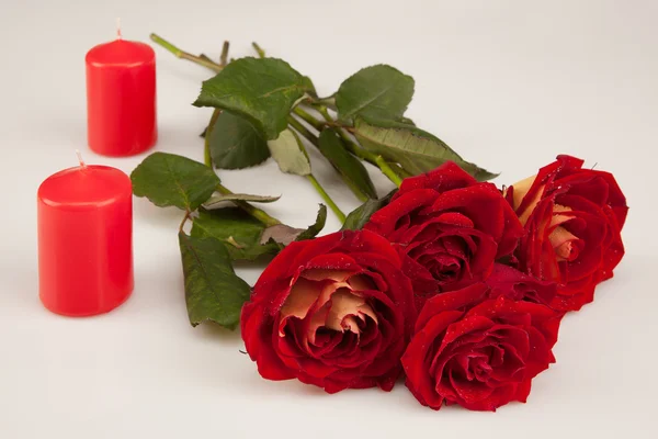 Red roses and two candles on a white background