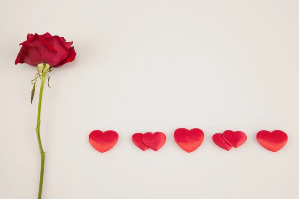Rose rouge et une ligne de cœurs sur fond blanc — Photo