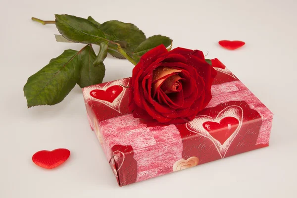 Rosa roja y regalo para el día de San Valentín sobre un fondo blanco — Foto de Stock