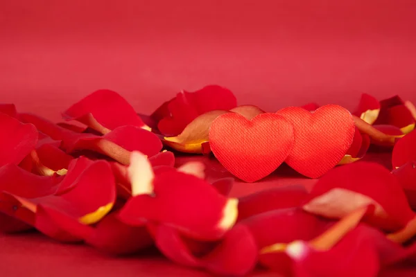Two hearts in rose petals on a red background — Stock Photo, Image