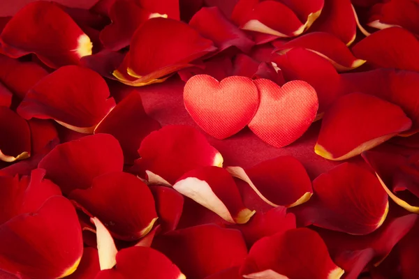 Два серця в пелюстках троянд на червоному тлі — стокове фото
