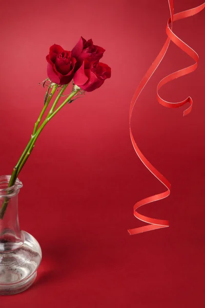 Μπουκέτο από κόκκινα τριαντάφυλλα με ένα serpentine σε κόκκινο φόντο — Φωτογραφία Αρχείου