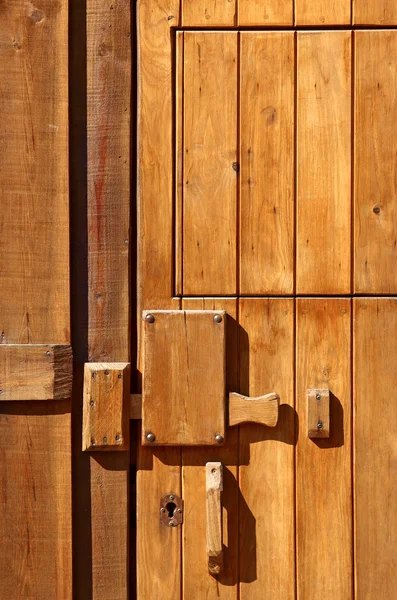 Дерев'яна двері деталей — стокове фото