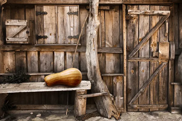 Shack de madera — Foto de Stock