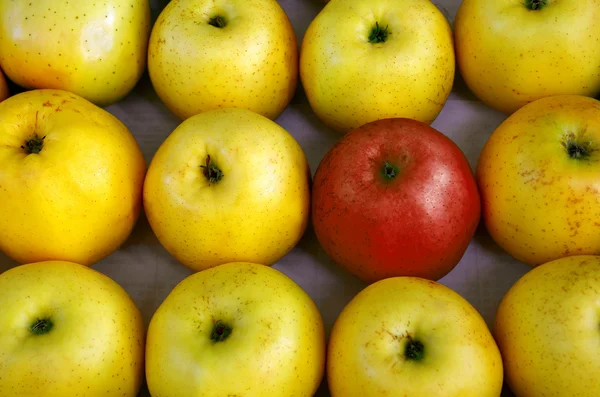 Reihen von Äpfeln — Stockfoto