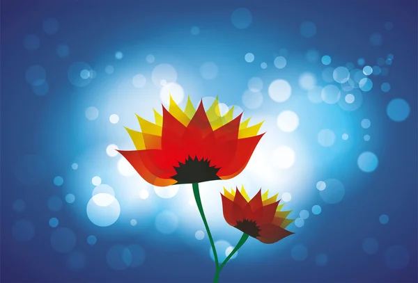 Mooie rode oranje daisy bloemen blauwe achtergrond — Stockvector