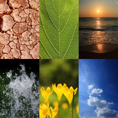 Basic elements of nature and ecology clipart