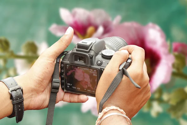 stock image Shooting with a slr camera