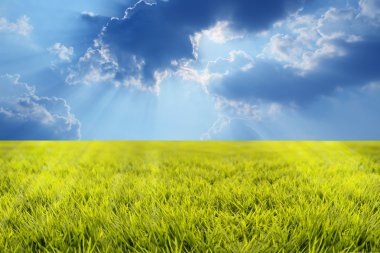 Grass land sunbeams and beautiful sky clipart