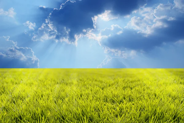 Çim arazi güneş ışınları ve güzel gökyüzü — Stok fotoğraf
