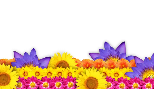 Blumenkranz oder Blumenrahmen mit schönen Blüten — Stockfoto