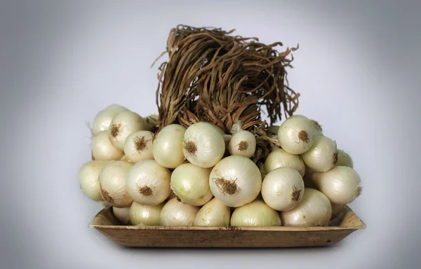 Bos van witte onions(allium cepa) op een plaat — Stockfoto