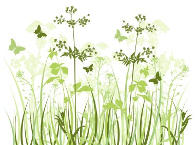 Meadow with wildflowers clipart