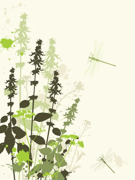 Zielone dzikie kwiaty — Wektor stockowy