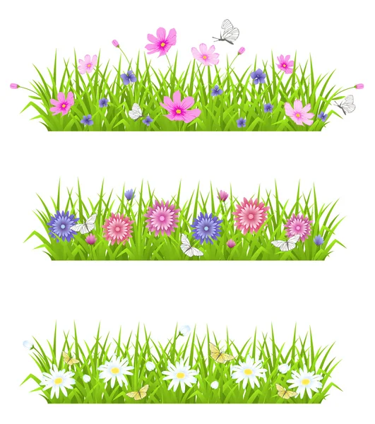 Green grass and flowers — Stock Vector