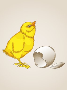 Yellow chicken clipart