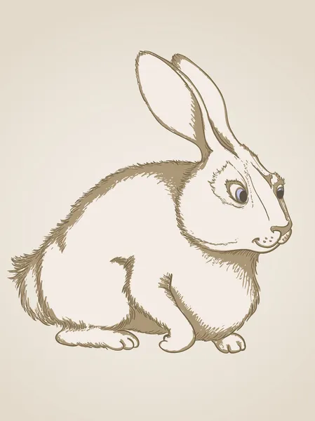 Conejo dibujado a mano — Vector de stock