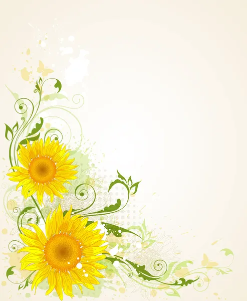 Background with sunflower — Stock Vector