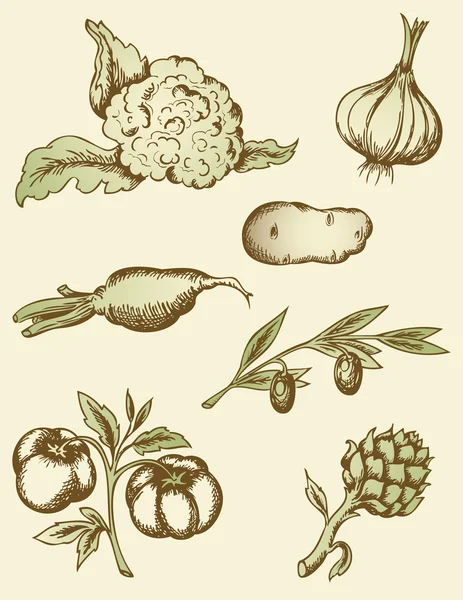 Légumes vintage — Image vectorielle