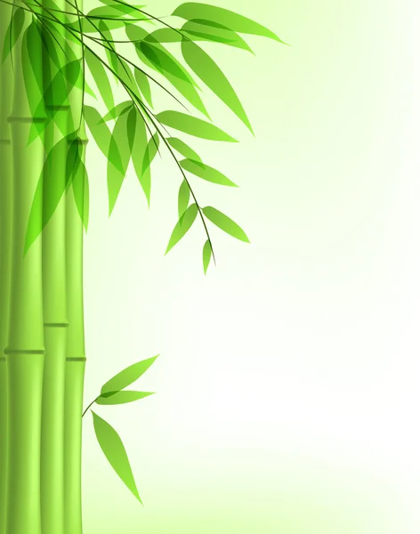Bambù verde — Vettoriale Stock
