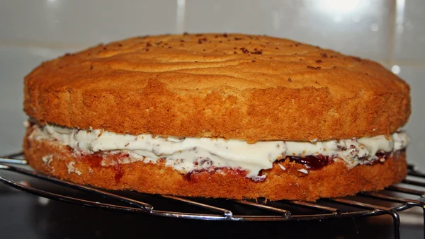 Бисквитный торт — стоковое фото
