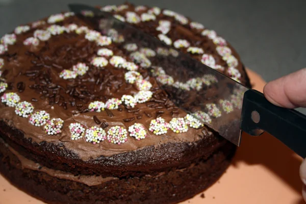 stock image A chocolate sponge birthday cake cake