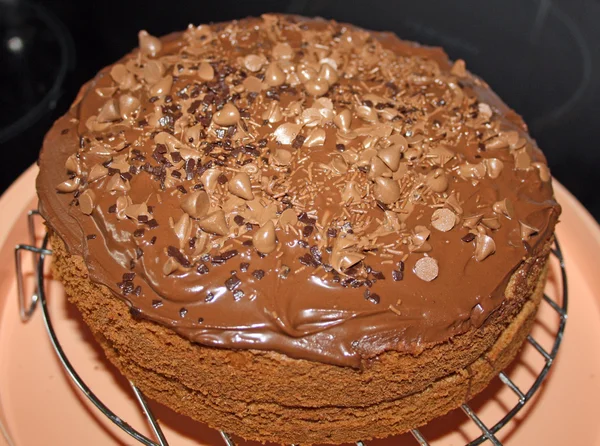 Un gâteau au chocolat éponge — Photo