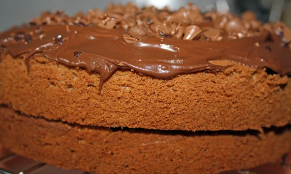巧克力海绵蛋糕 — 图库照片
