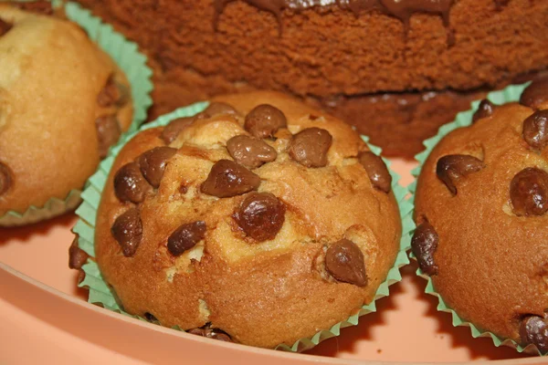 초콜릿 스펀지 케이크 — 스톡 사진
